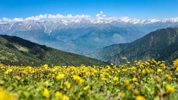 Kullu
